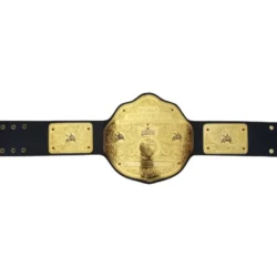 WWE World Heavyweight Championship Commemorative Title Belt (4)