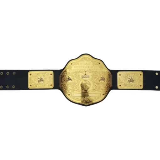WWE World Heavyweight Championship Commemorative Title Belt (4)