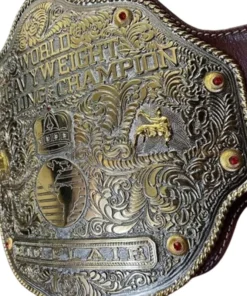 WWE World Heavyweight Championship Retro custom Title Belt (1)