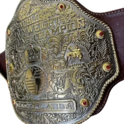 WWE World Heavyweight Championship Retro custom Title Belt (1)