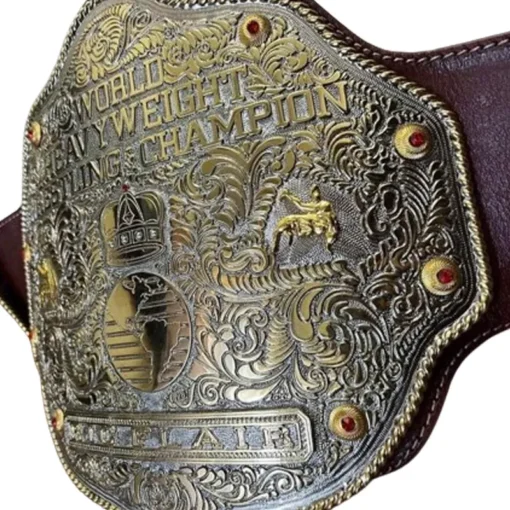 WWE World Heavyweight Championship Retro custom Title Belt (1)