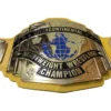 WWF INTERCONTINENTAL