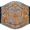 WWF Junior Heavyweight Championship 1979 1985 37d41ae3 6217 4308 ba87 b797679fe779 1 - Championshipbeltmaker