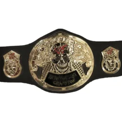 WWF STONE COLD SMOKING SKULL 24K GOLD Championship Title Belt (2)