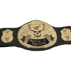 WWF STONE COLD SMOKING SKULL 24K GOLD Championship Title Belt (3)