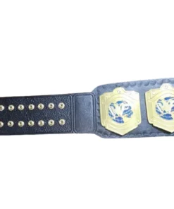 WWF World Light Heavyweight Championship Belt (1)