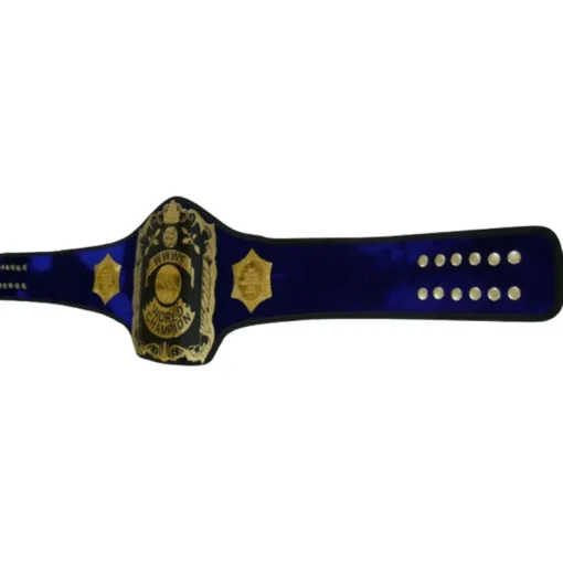 WWWF Bruno Sammartino championship Belt (4)
