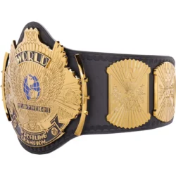 Winged Eagle WWE Custom Title Belt (1)