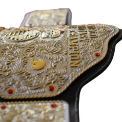 World Fantasy Championship Belt (5)