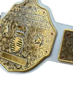 World Heavyweight Championship Big Gold (1)