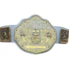 World Heavyweight Championship Big Gold - custom wrestling belt