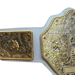 World Heavyweight Championship Big Gold (5)