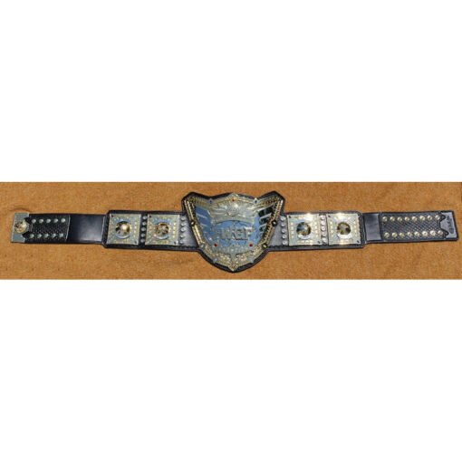 iwgp world heavyweight belt