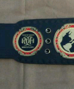 roh heavyweight zinc championship