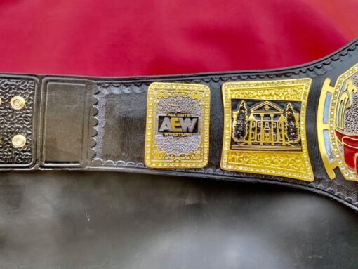 aew tnt wrestling championship belt