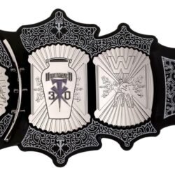 undertaker 30 years signature series championship titles