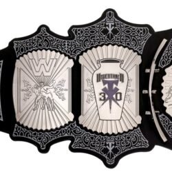 undertaker 30 years signature series championship belt