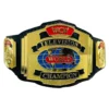 wcw television Championship Wrestling - custom wrestling belt maker in USA