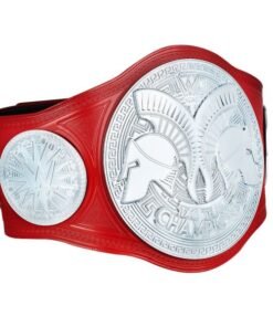 wwe raw tag team championship commemorative title 03 1 - Championshipbeltmaker