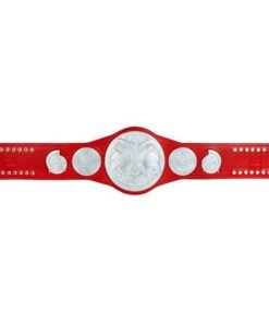 wwe raw tag team championship commemorative title 08 - Championshipbeltmaker