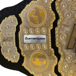 AEW High-End custom Belts side plate