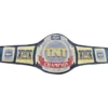 AEW TNT WRESTLING CHAMPIONSHIP custom belts