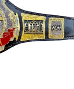AEW TNT WRESTLING CHAMPIONSHIP custom belts