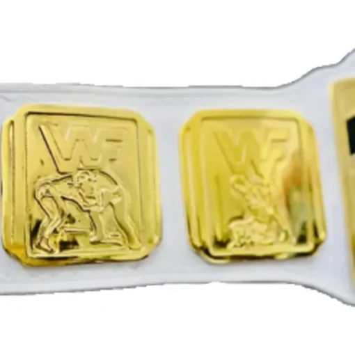 Custom Intercontinental Belts (3)