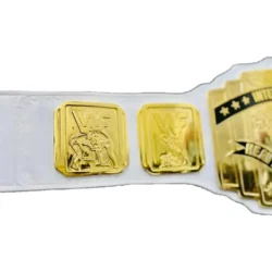 Custom Intercontinental Belts (5)