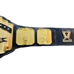 Custom Made Pro Wrestling Belt (2)