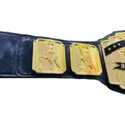 Custom Made Pro Wrestling Belt (4)