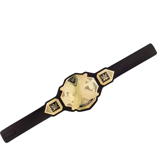 Custom Nxt Championship Belt (3)