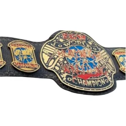 ECW Wrestling Heavyweight Belt (2)