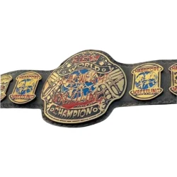 Ecw Championship Belt (3)