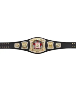 Edge Spinner R Championship Title Belt (2)Edge Spinner R Championship Title Belt (2)
