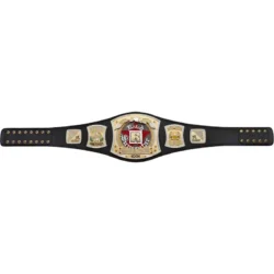 Edge Spinner R Championship Title Belt (2)Edge Spinner R Championship Title Belt (2)