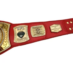 Fantasy Football Belt Spinner (4)