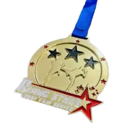 Hd Engraved Custom Award Medals (2)