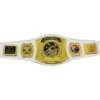 Houston Astros Spinner Belt - championship belt maker