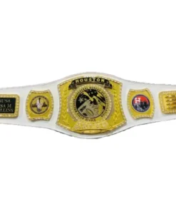 Houston Astros Spinner Belt - championship belt maker