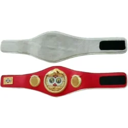 IBF Boxing Championship Belt Replica International Boxing Federation Adult (2)