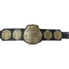 Iwgp Heavyweight Championship Belt (1)