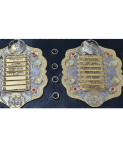 Iwgp Heavyweight Championship Belt (2)