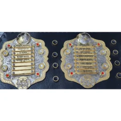 Iwgp Heavyweight Championship Belt (2)