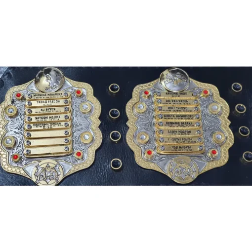 Iwgp Heavyweight Championship Belt (2)