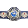 Iwr Custom Made Title Belt (3) - CHAMPIONSHIP BELT MAKER