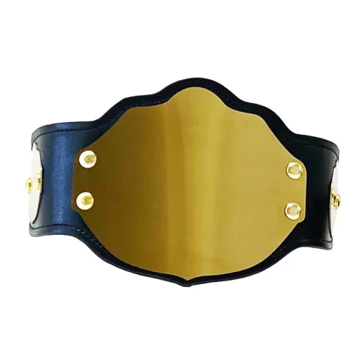 Mini Custom Championship Belt (1) - championship belt maker