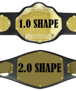 Mini Custom Championship Belt (2)