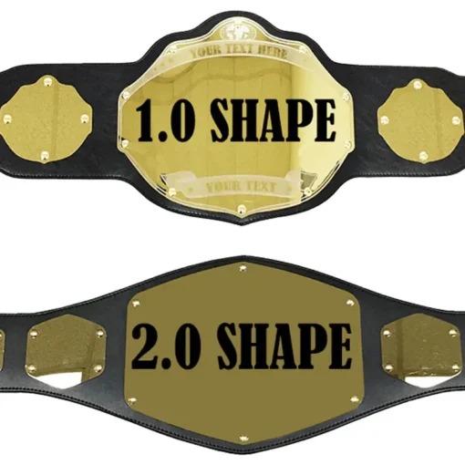 Mini Custom Championship Belt (2)