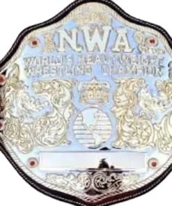 NWA Big 24K Gold Zinc Championship Belt Silver, Black One Size - championshipbeltmaker.com